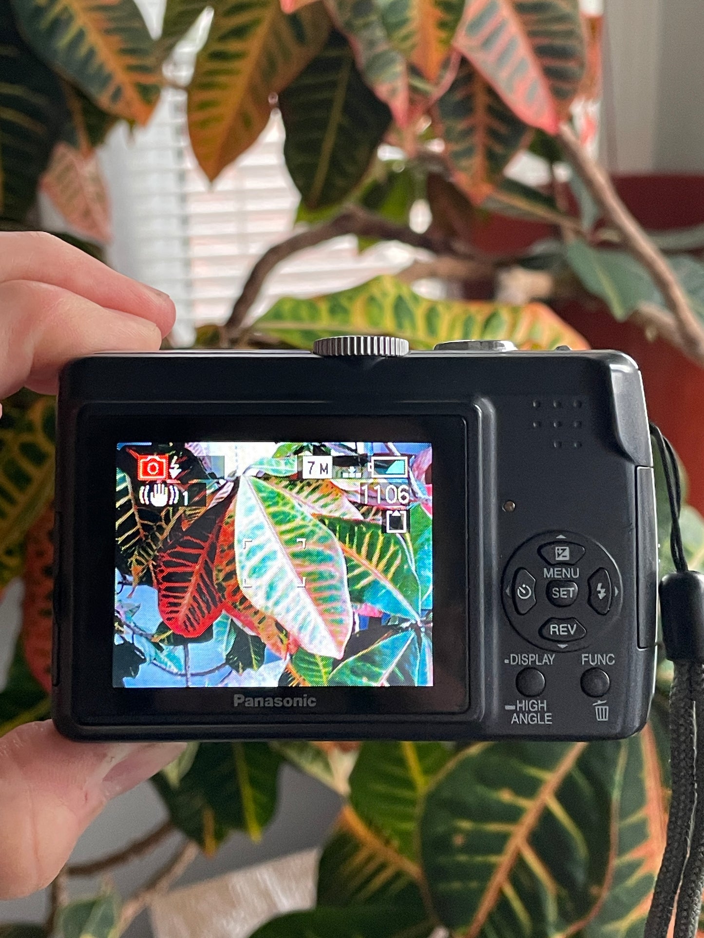 Panasonic Lumix DMC-LZ7 7.2 MP Digital Camera Bundle - Black