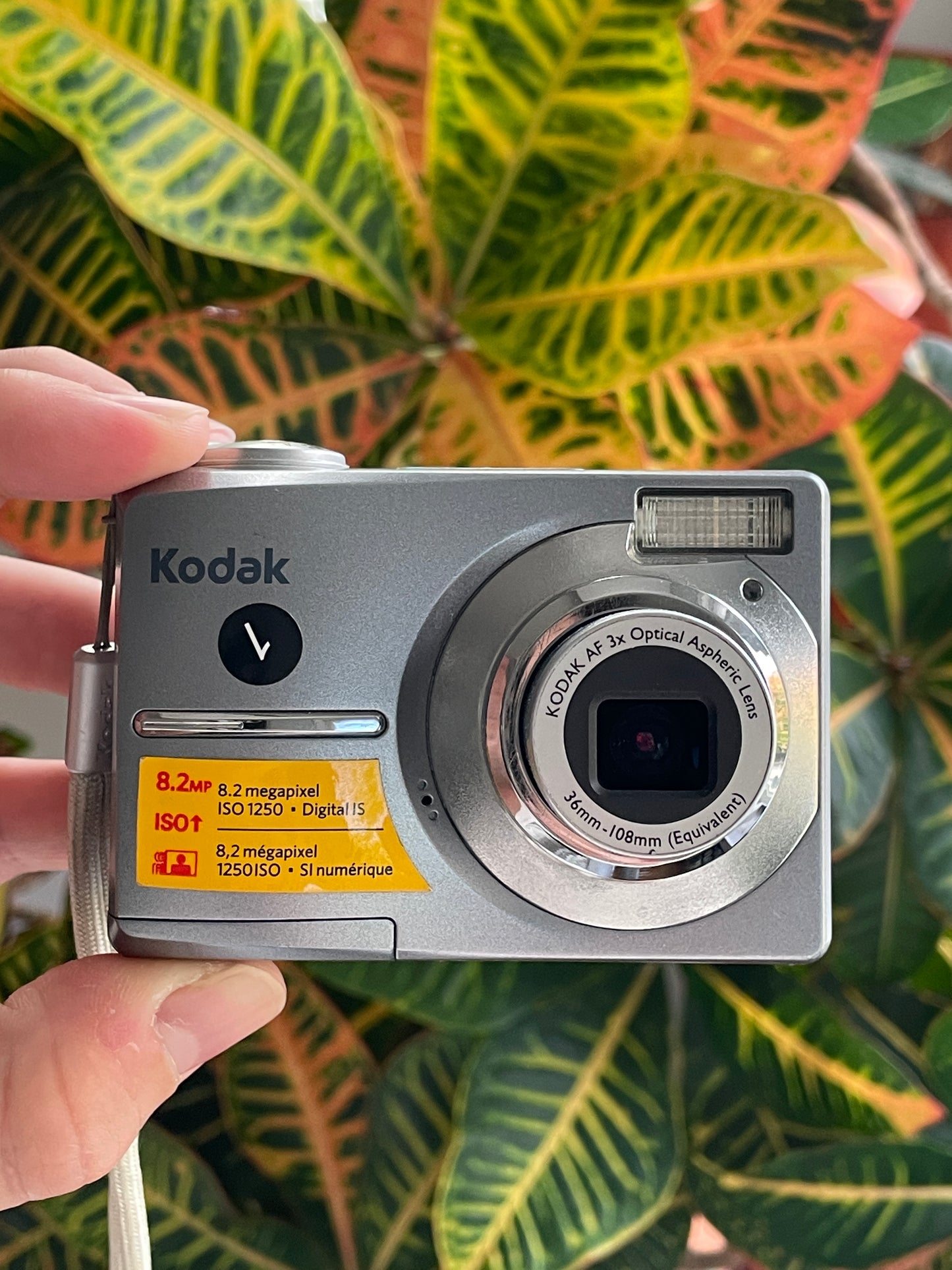 Kodak EasyShare C813 8.2 MP Digital Camera Bundle - Grey