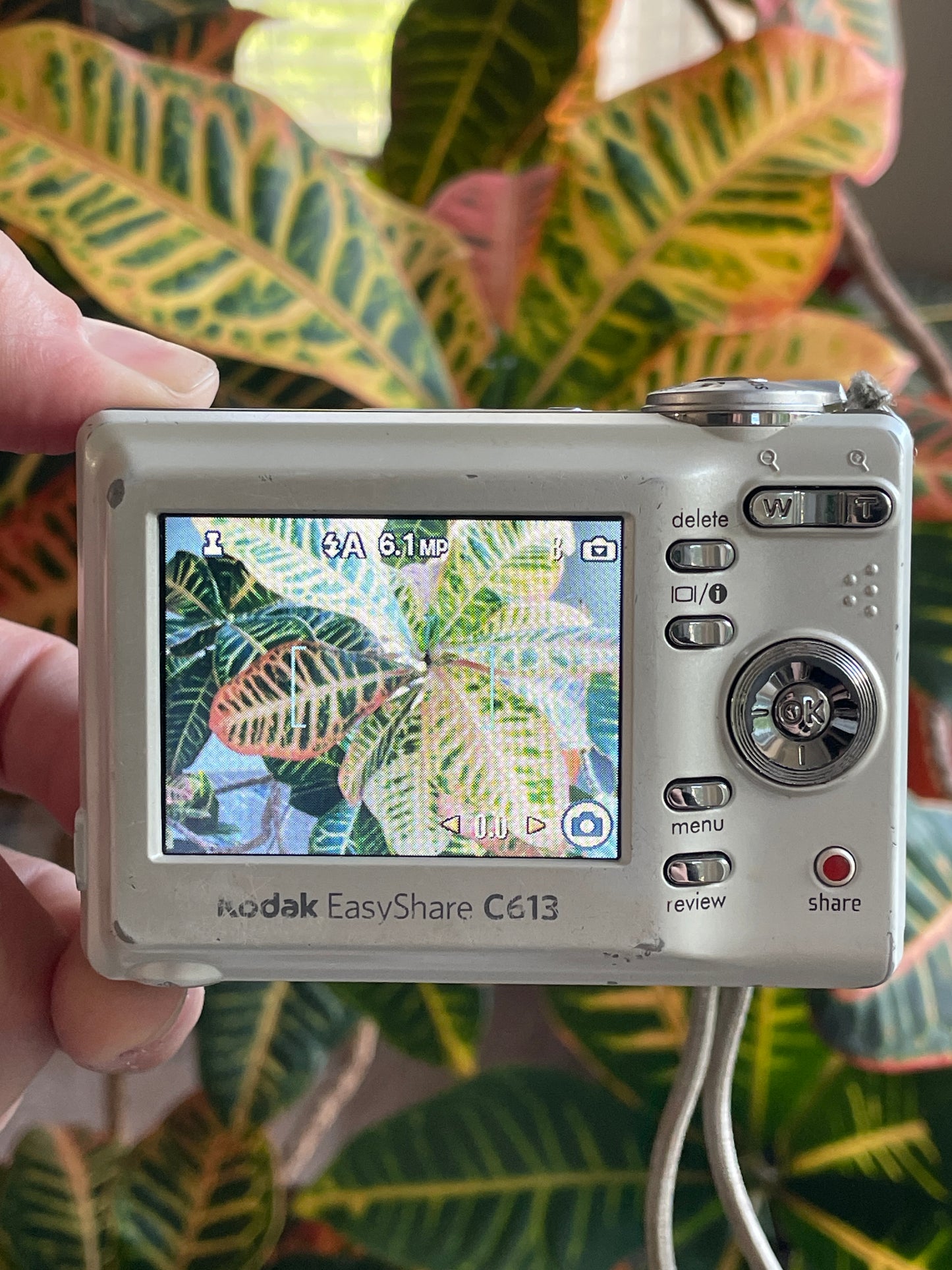 Kodak EasyShare C613 6.2 MP Digital Camera Bundle - White