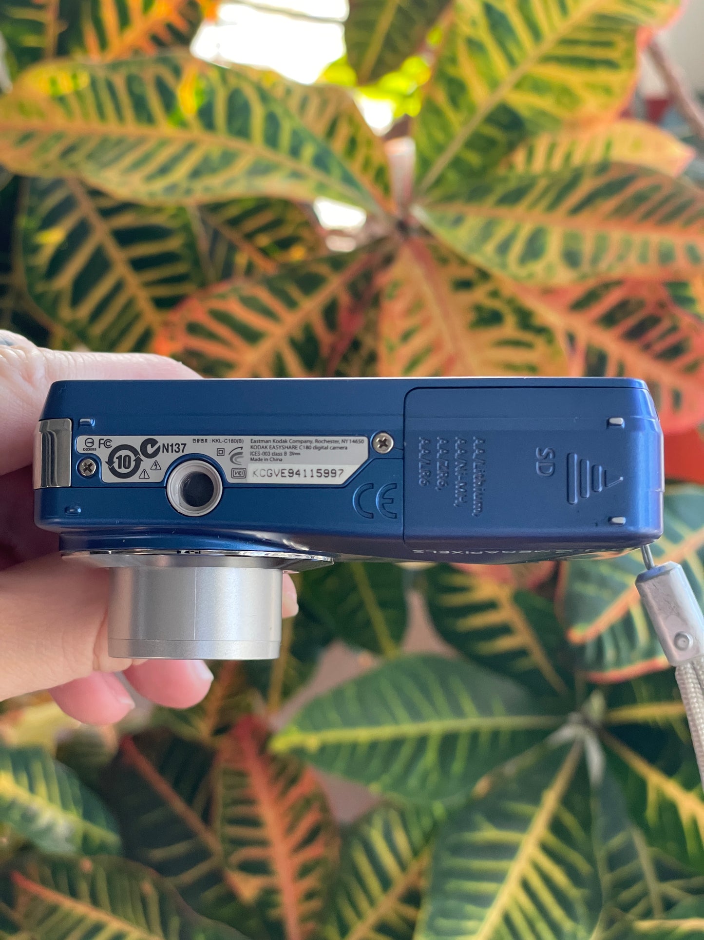 Kodak EasyShare C180 10.2 MP Digital Camera Bundle - Blue