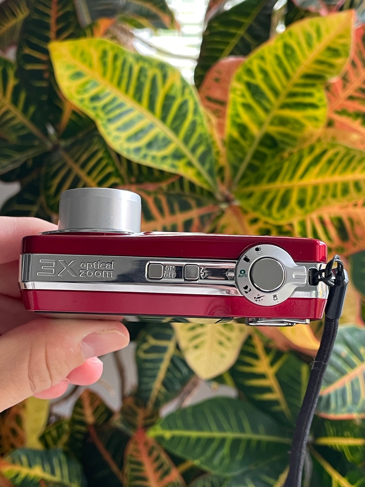 Kodak EasyShare CD80 10.2 MP Digital Camera Bundle - Red