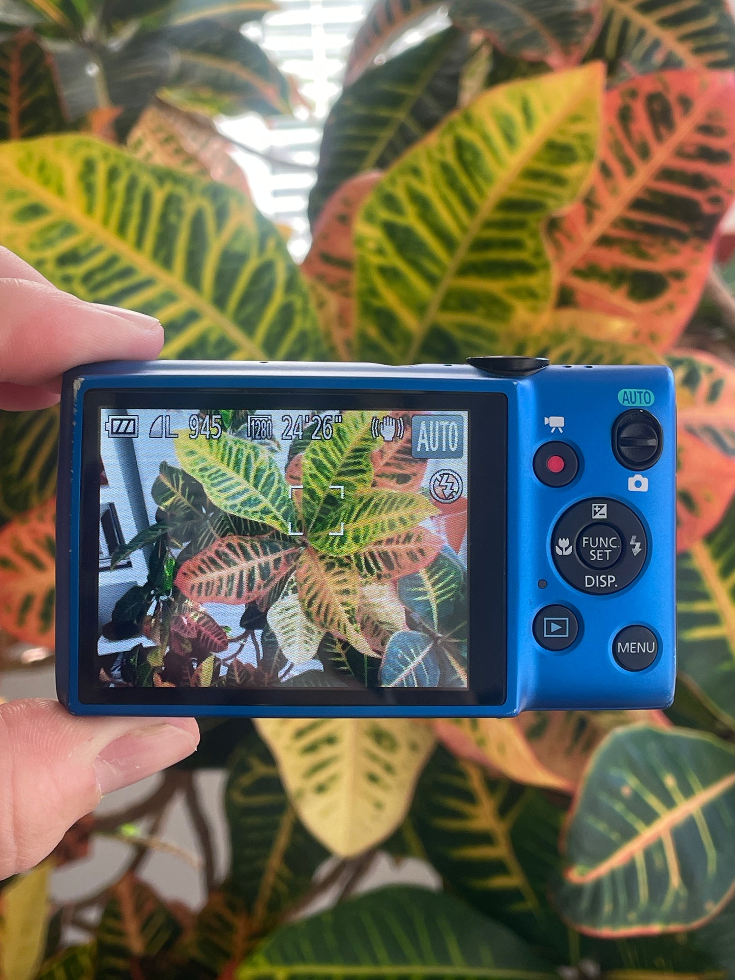 Canon PowerShot ELPH 115 IS 16 MP Digital Camera Bundle - Blue