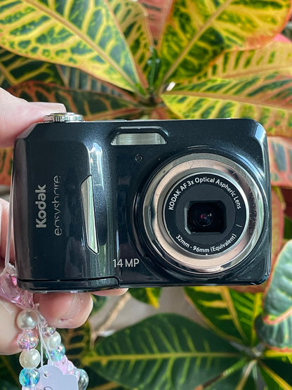 Kodak EasyShare CD153 14 MP Digital Camera Bundle - Navy Blue