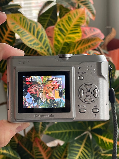 Panasonic Lumix LZ2 5.0 MP Digital Camera Bundle - Silver - Complete in Box