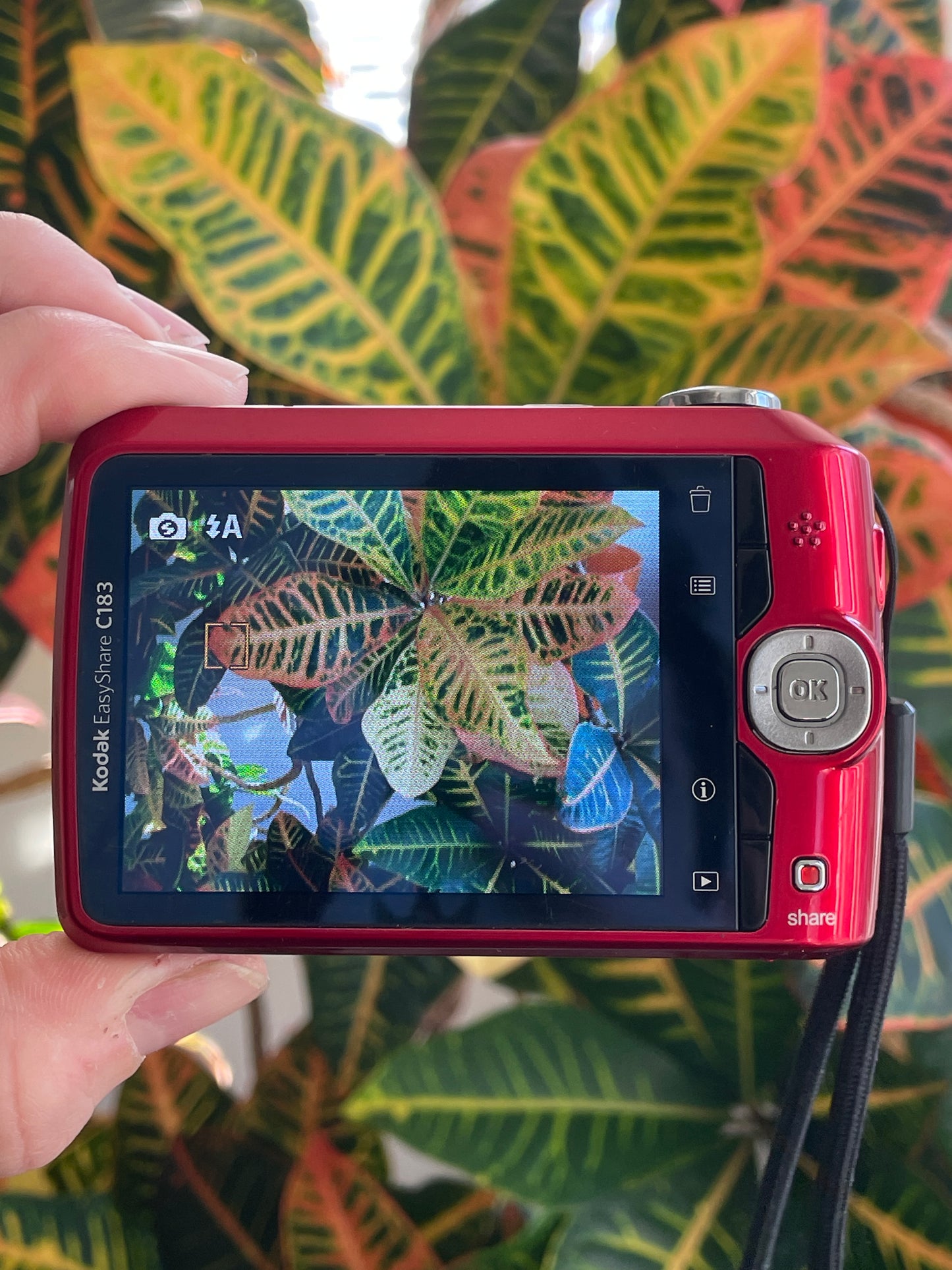 Kodak EasyShare C183 14 MP Digital Camera Bundle - Red