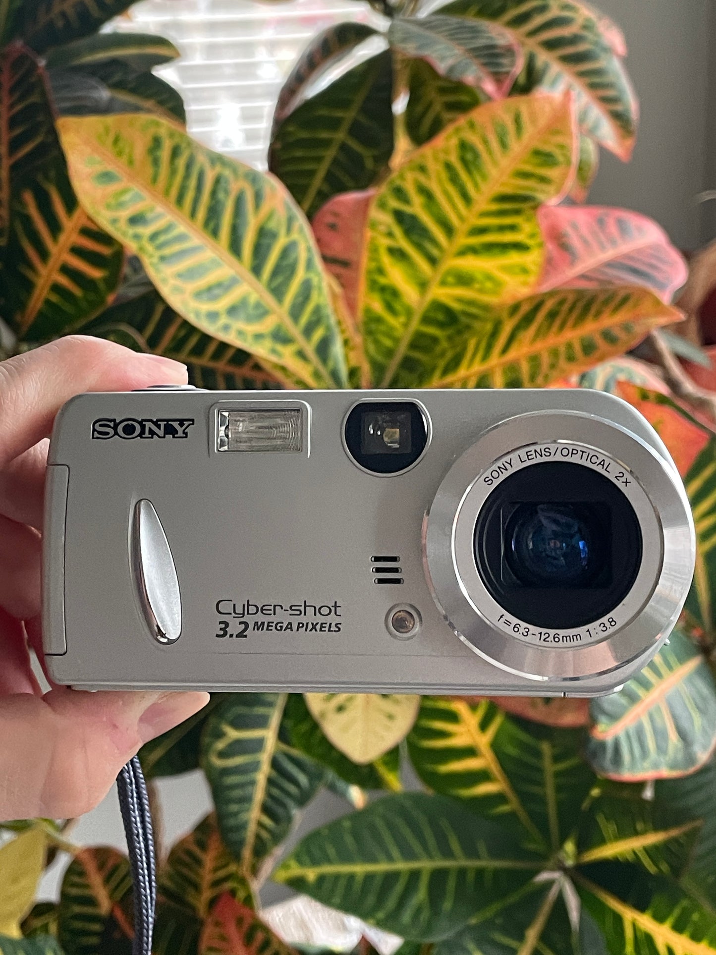 Sony CyberShot DSC-P52 3.2 MP Digital Camera Bundle - Silver