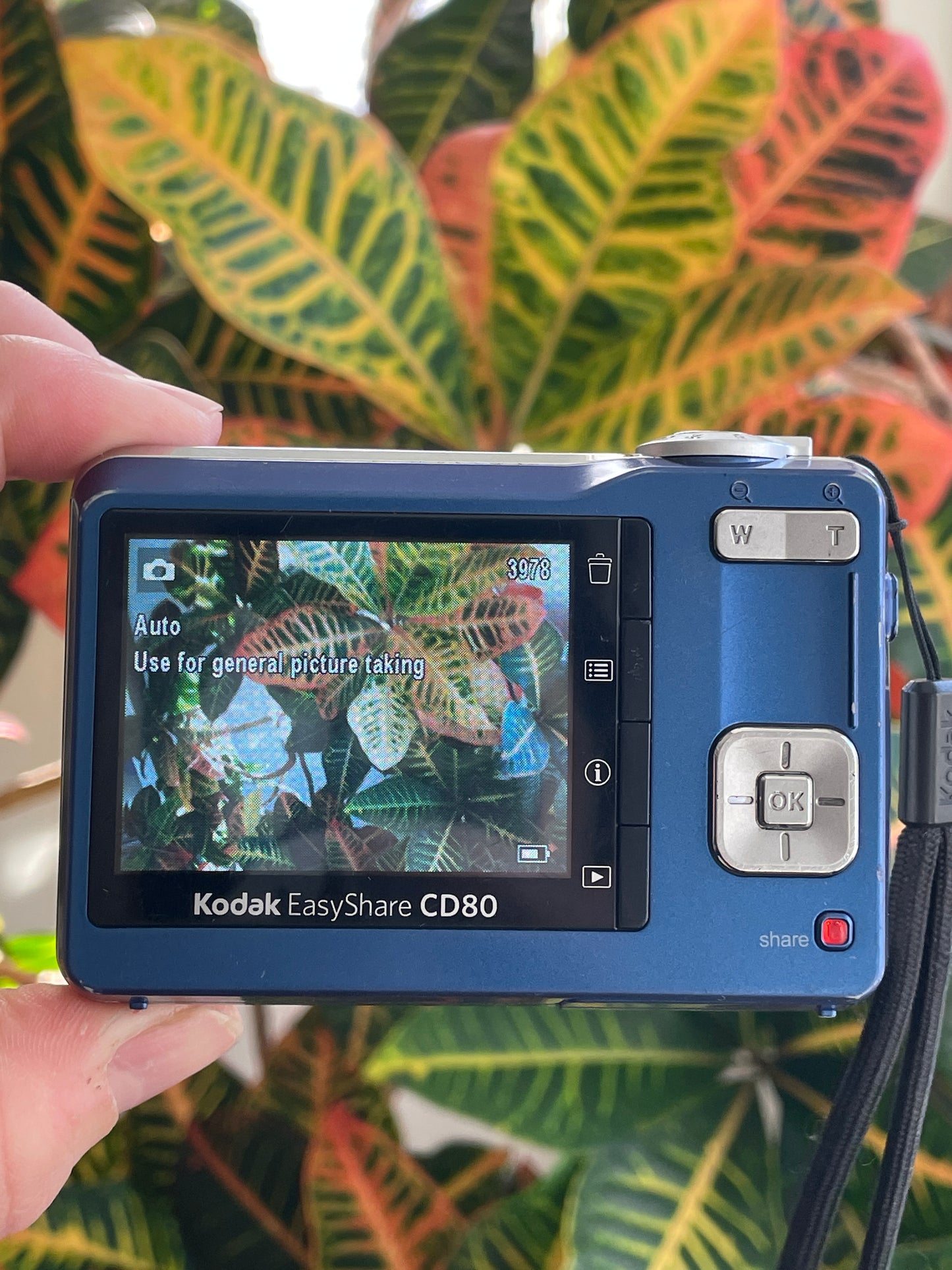 Kodak EasyShare CD80 10.2 MP Digital Camera Bundle - Blue