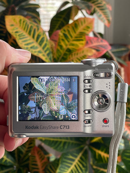 Kodak EasyShare C713 7.0 MP Digital Camera Bundle - Silver