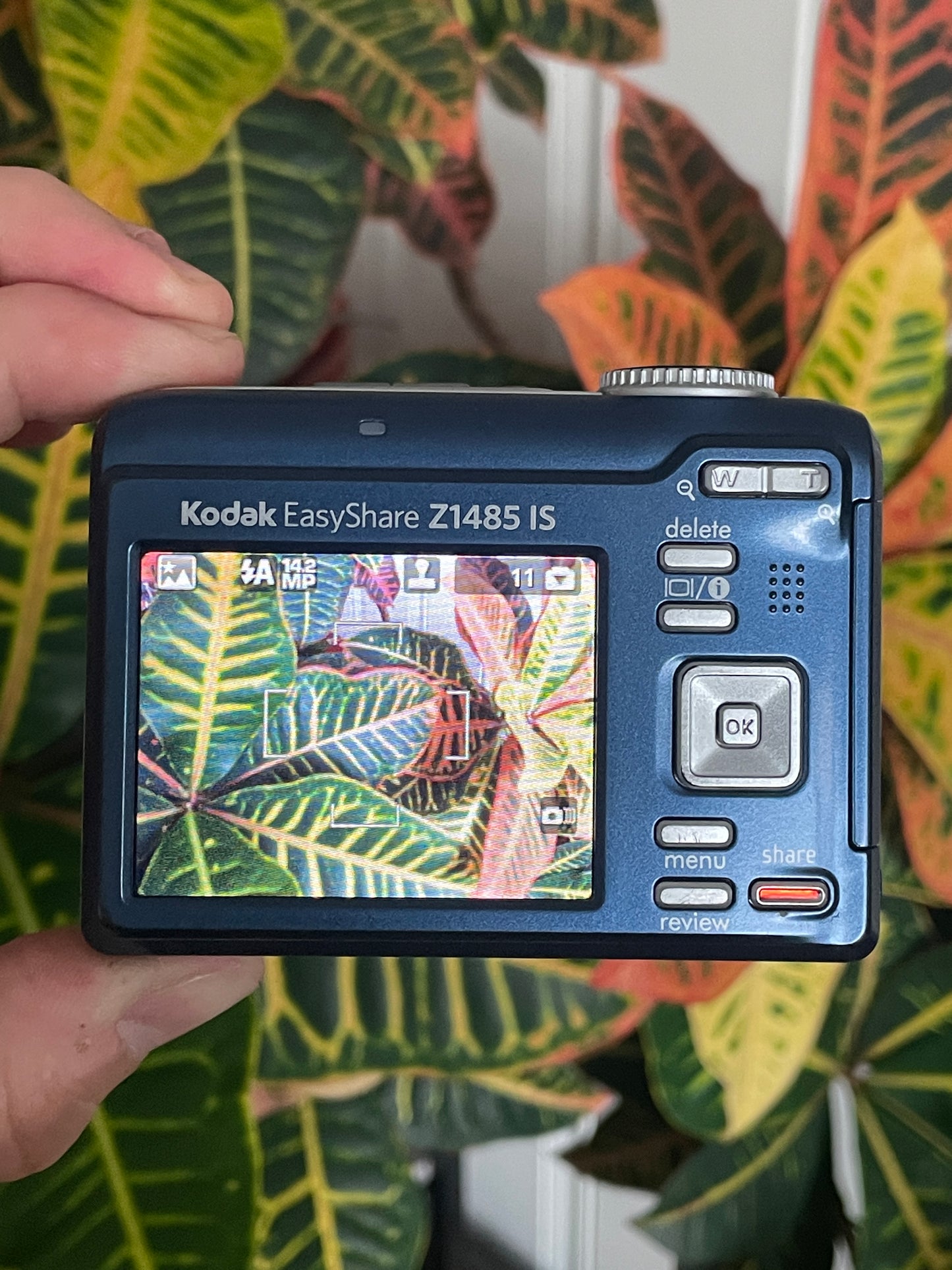 Kodak EasyShare Z1485 IS 14 MP Digital Camera Bundle - Blue