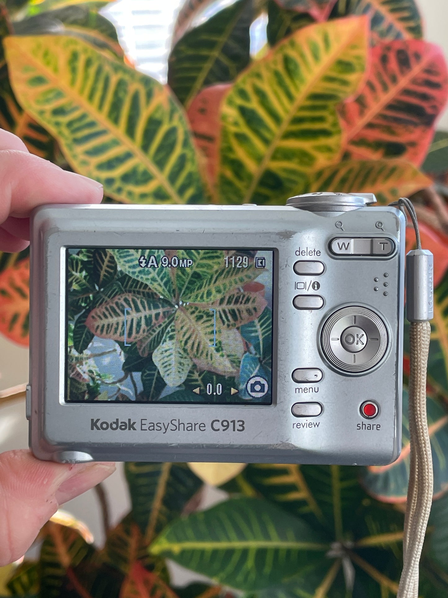 Kodak EasyShare C913 9.2 MP Digital Camera Bundle - Gray
