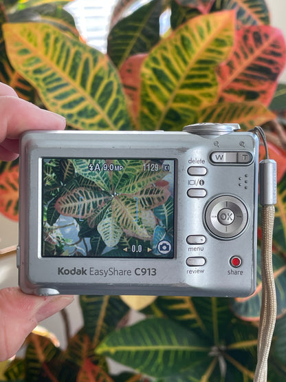 Kodak EasyShare C913 9.2 MP Digital Camera Bundle - Gray
