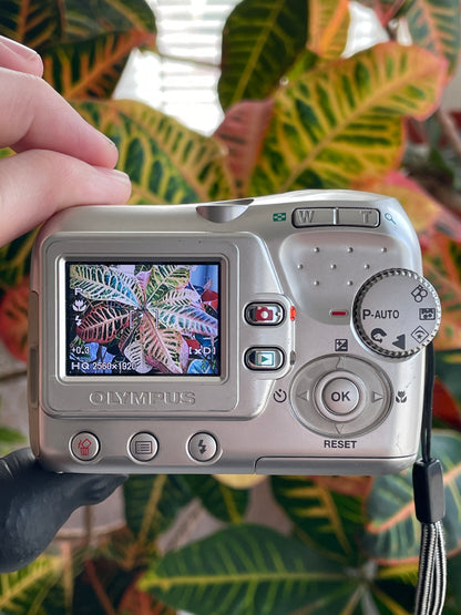 Olympus FE-110 5.0 MP Digital Camera Bundle - Silver