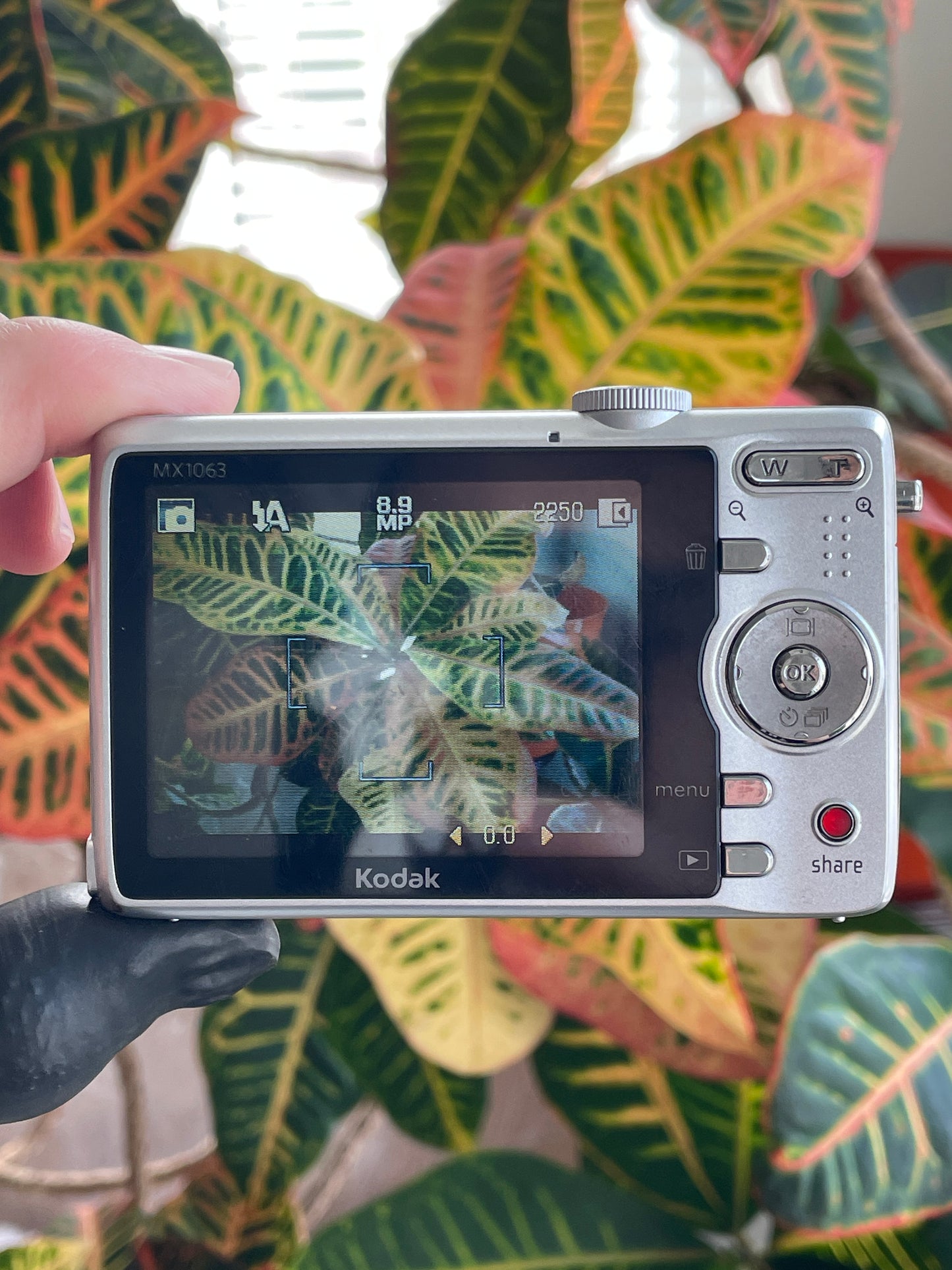 Kodak EasyShare MX1063 10.3 MP Digital Camera Bundle - Silver