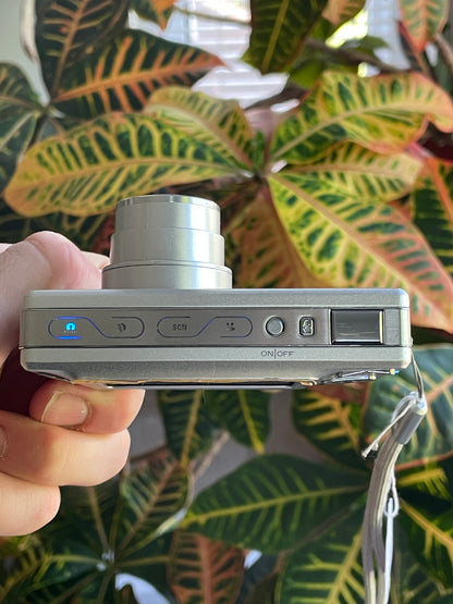 Kodak EasyShare V550 5 MP Digital Camera Bundle - Silver