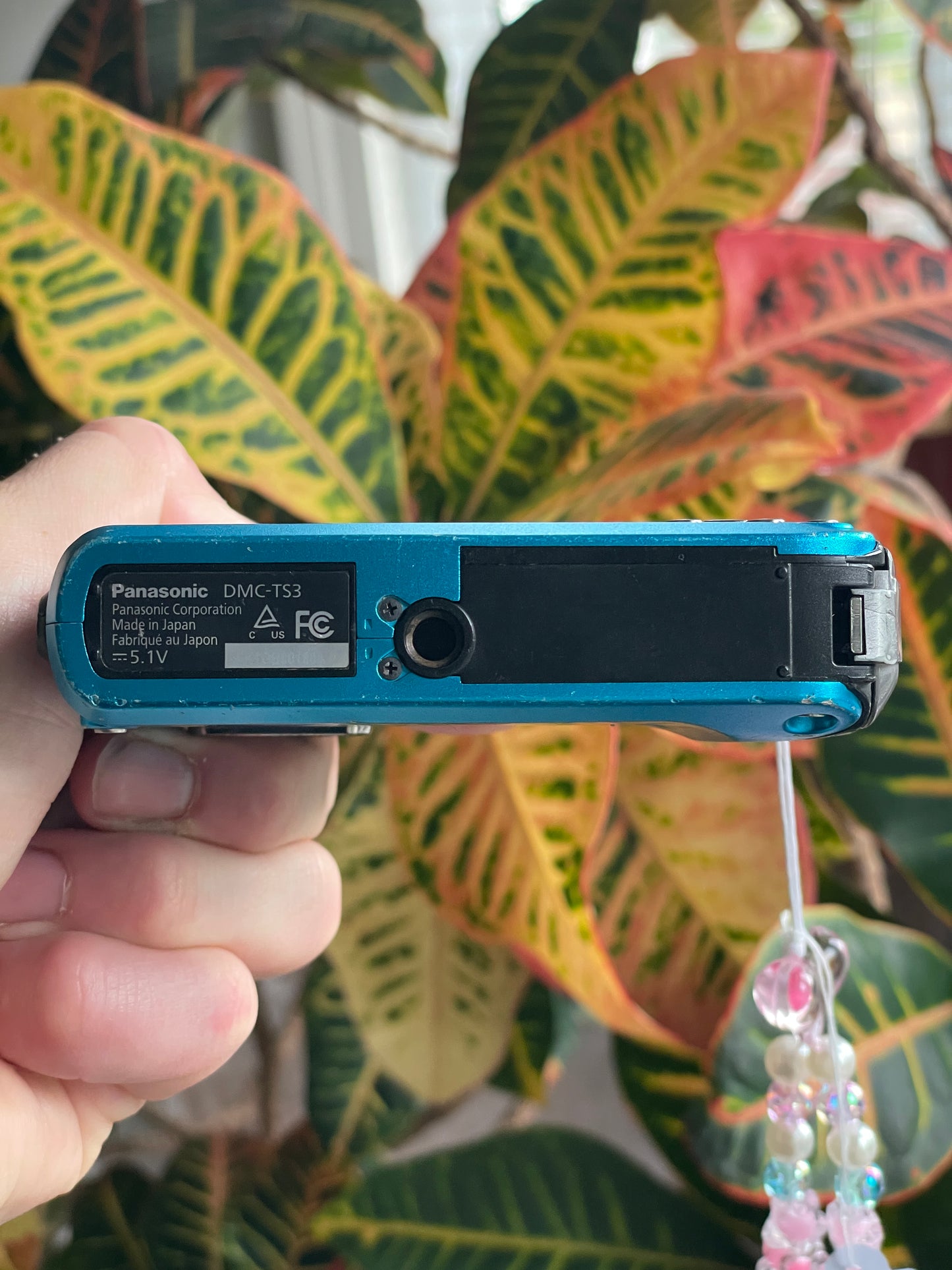 Panasonic Lumix DMC-TS3 12.1 MP Digital Camera Bundle - Blue