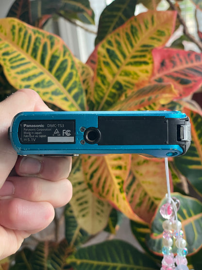 Panasonic Lumix DMC-TS3 12.1 MP Digital Camera Bundle - Blue