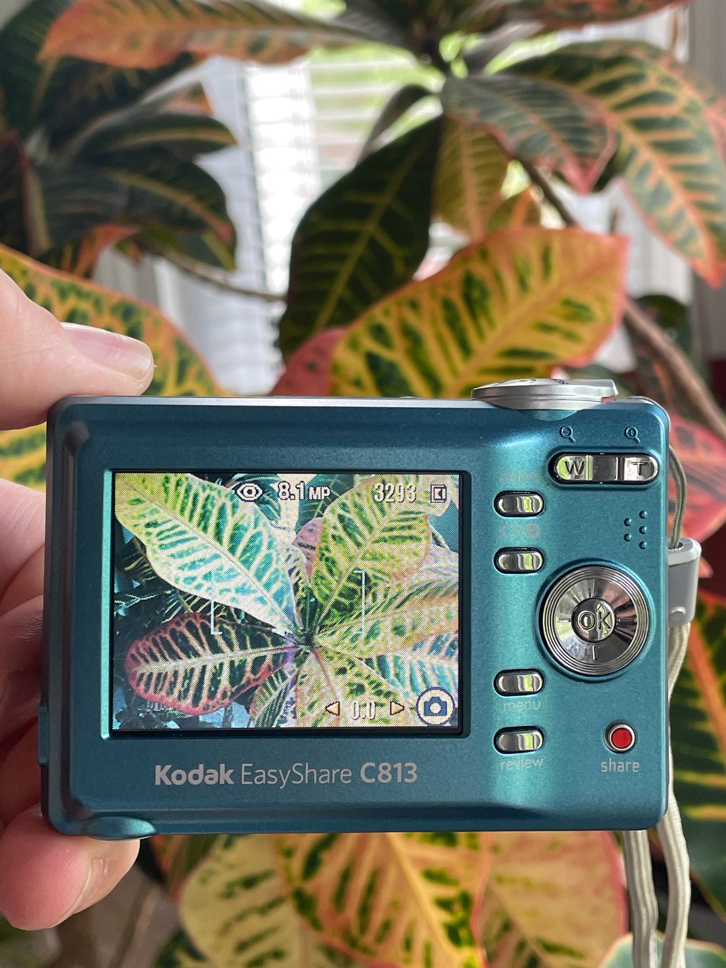 Kodak EasyShare C813 8.2 MP Digital Camera Bundle - Teal