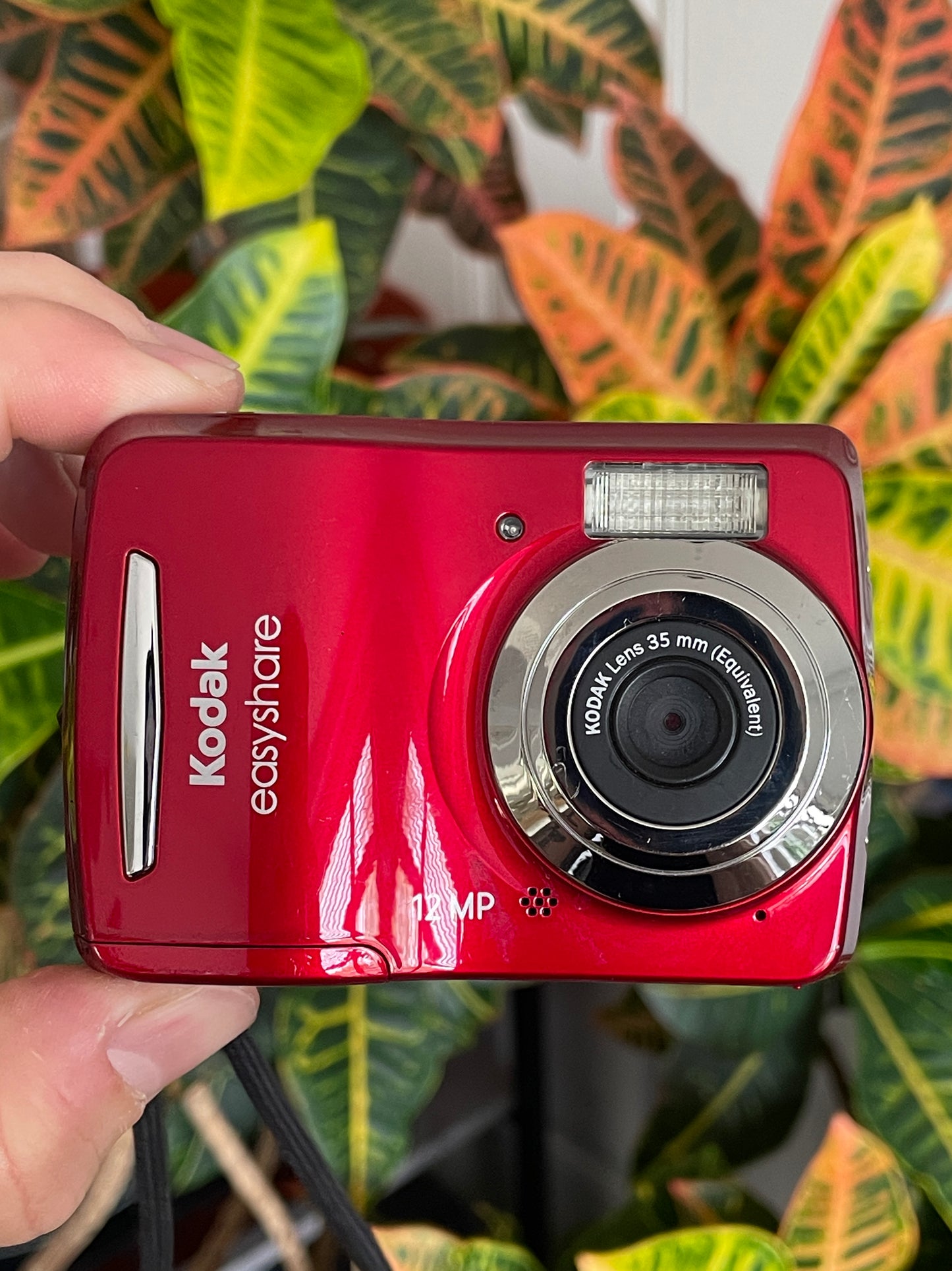 Kodak EasyShare C1505 12 MP Digital Camera - Red