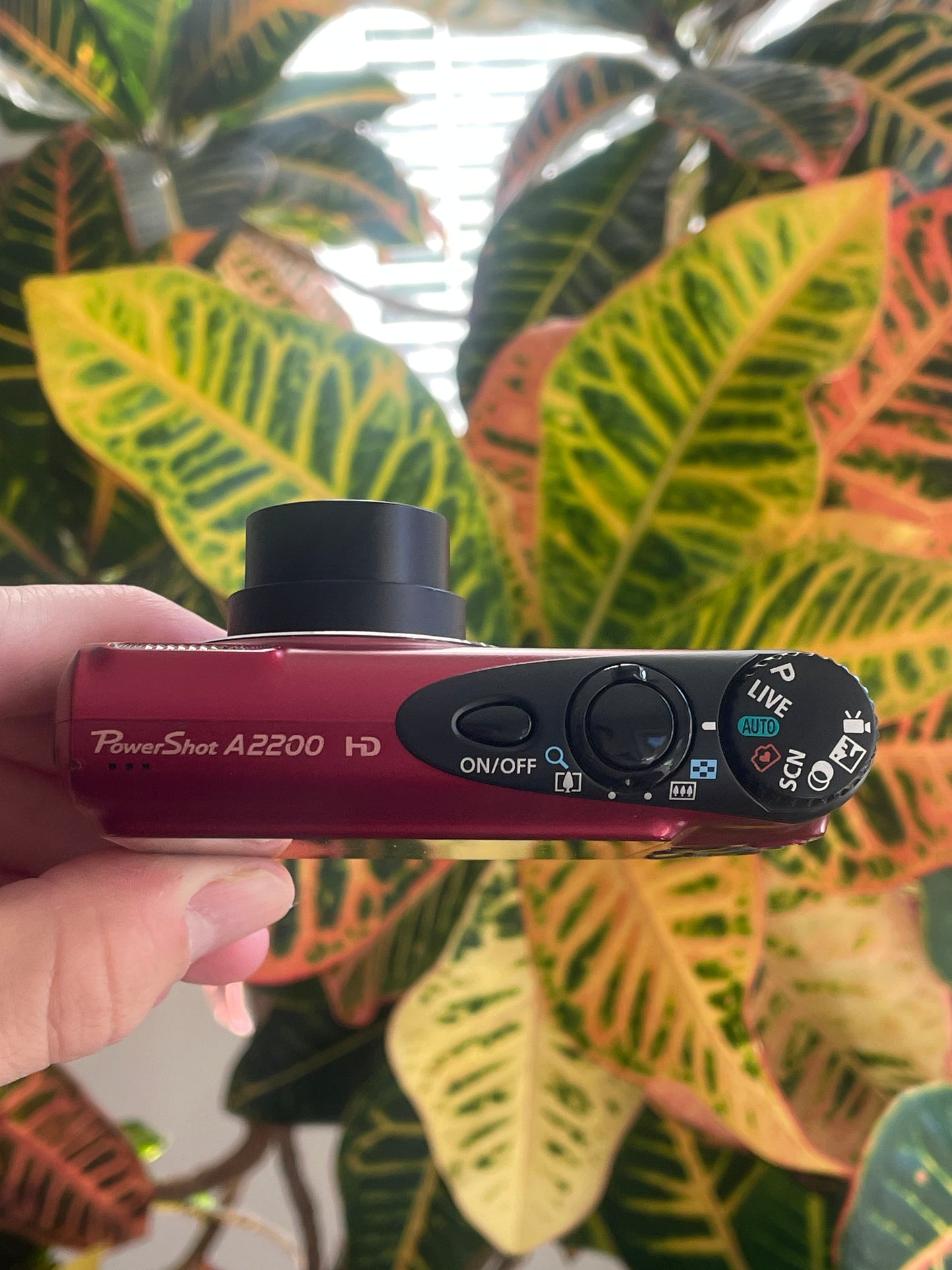 Canon PowerShot A2200 14.1 MP Digital Camera Bundle - Red