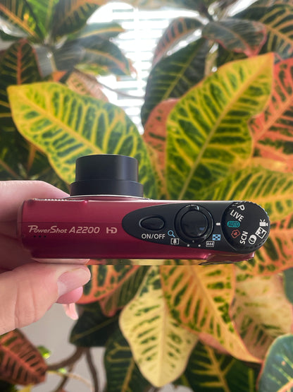 Canon PowerShot A2200 14.1 MP Digital Camera Bundle - Red