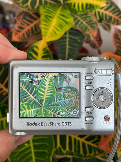 Kodak EasyShare C913 9.2 MP Digital Camera Bundle