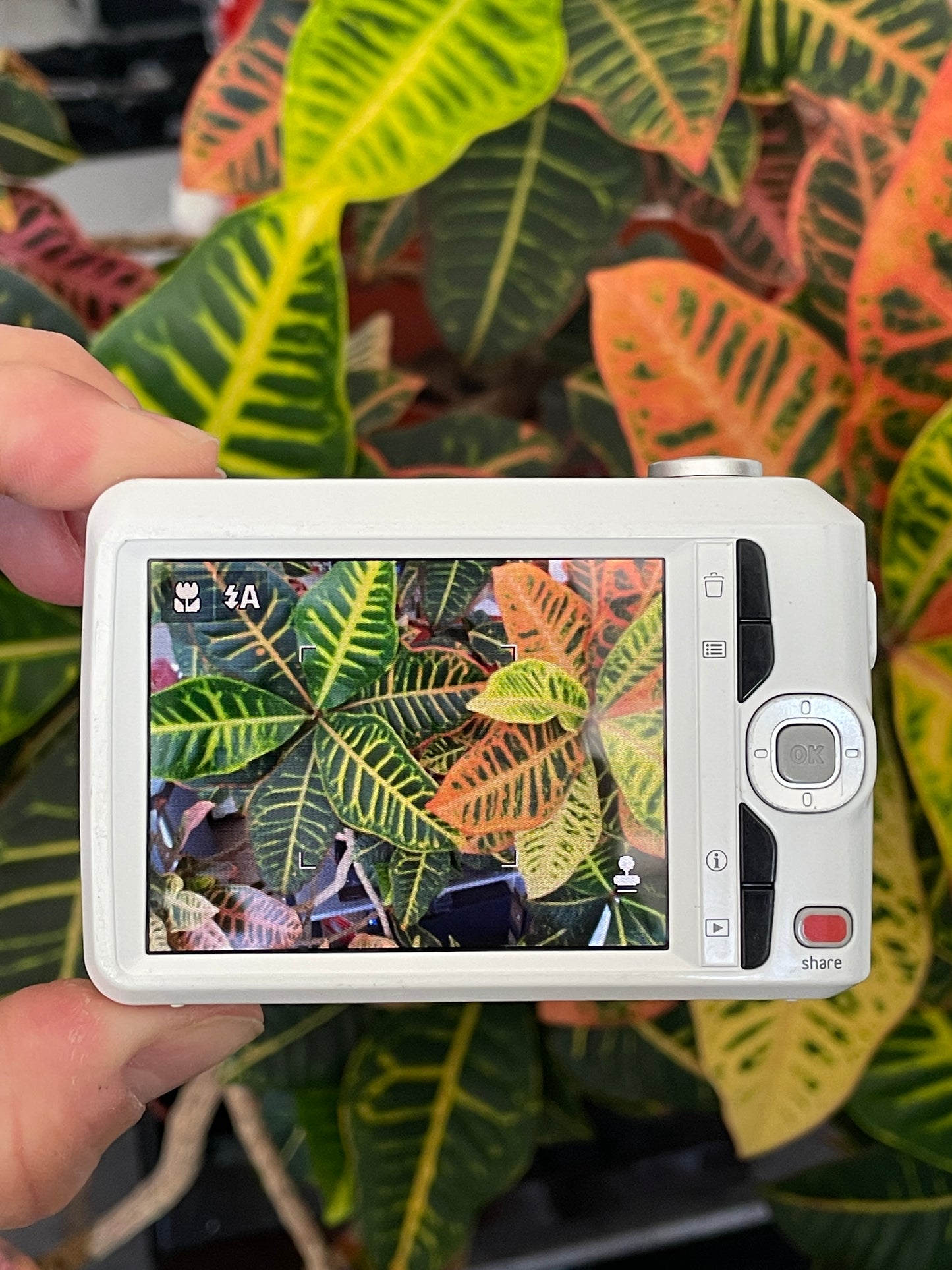 Kodak EasyShare C1450 14 MP Digital Camera Bundle - White