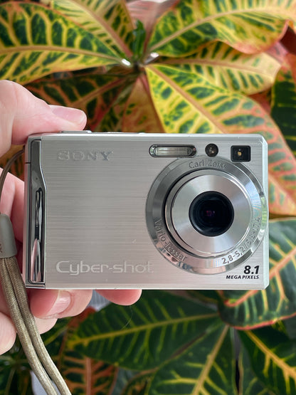 Sony CyberShot Super SteadyShot DSC-W90 8.1 MP Digital Camera Bundle - Silver