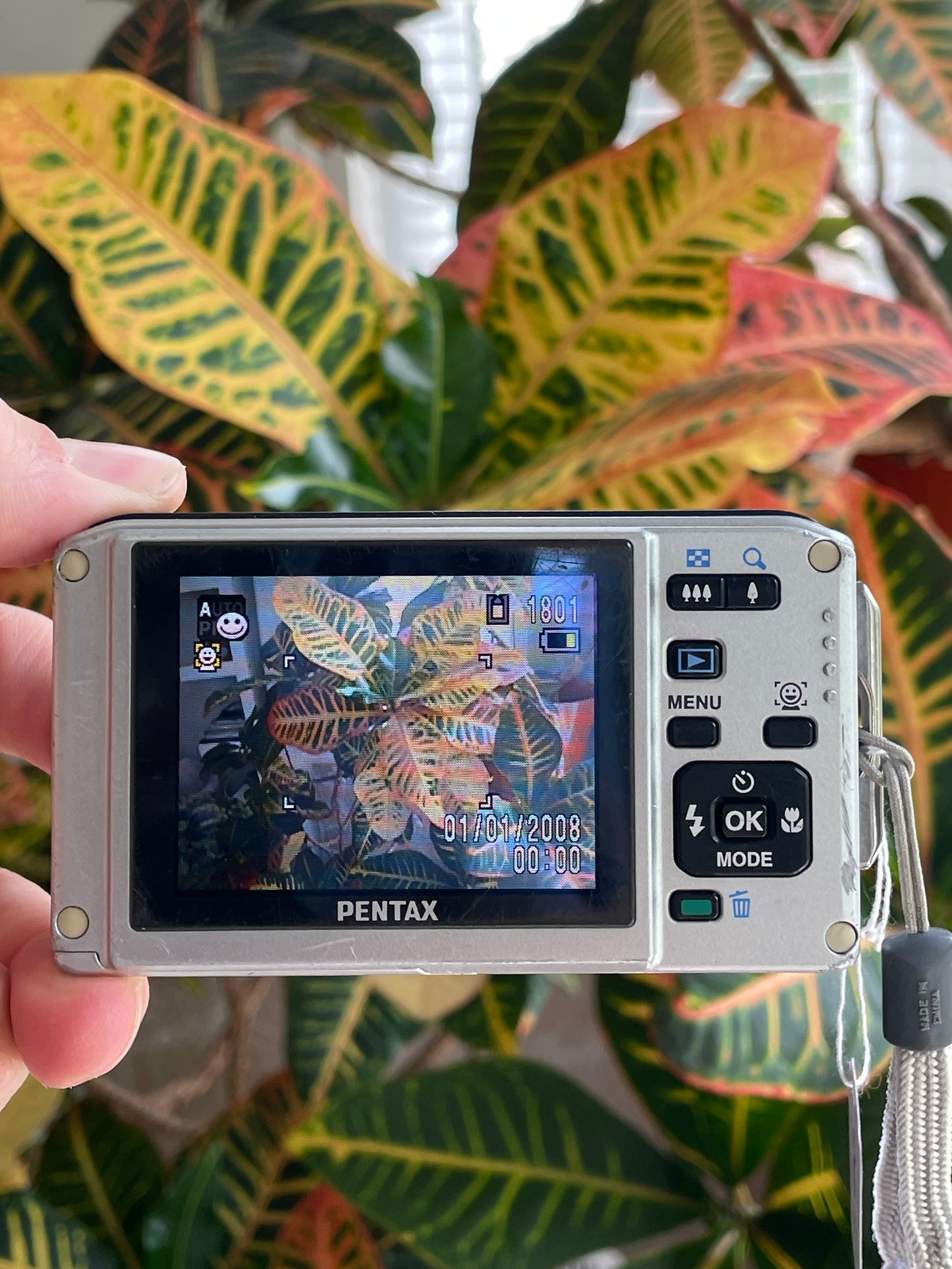 Pentax Optio W60 10.0 MP Digital Camera Bundle - Blue