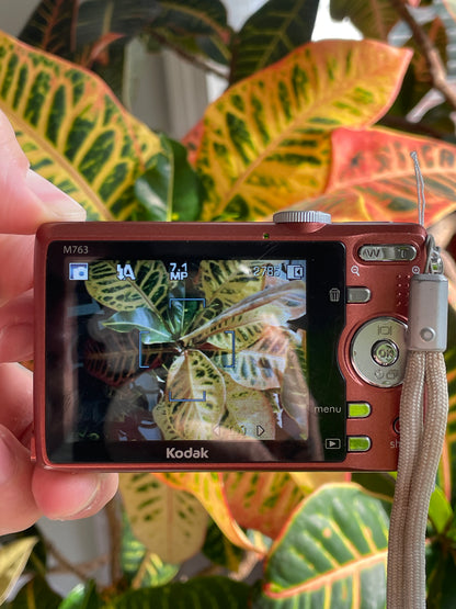 Kodak EasyShare M763 7.2 MP Digital Camera Bundle - Sparkly Orange