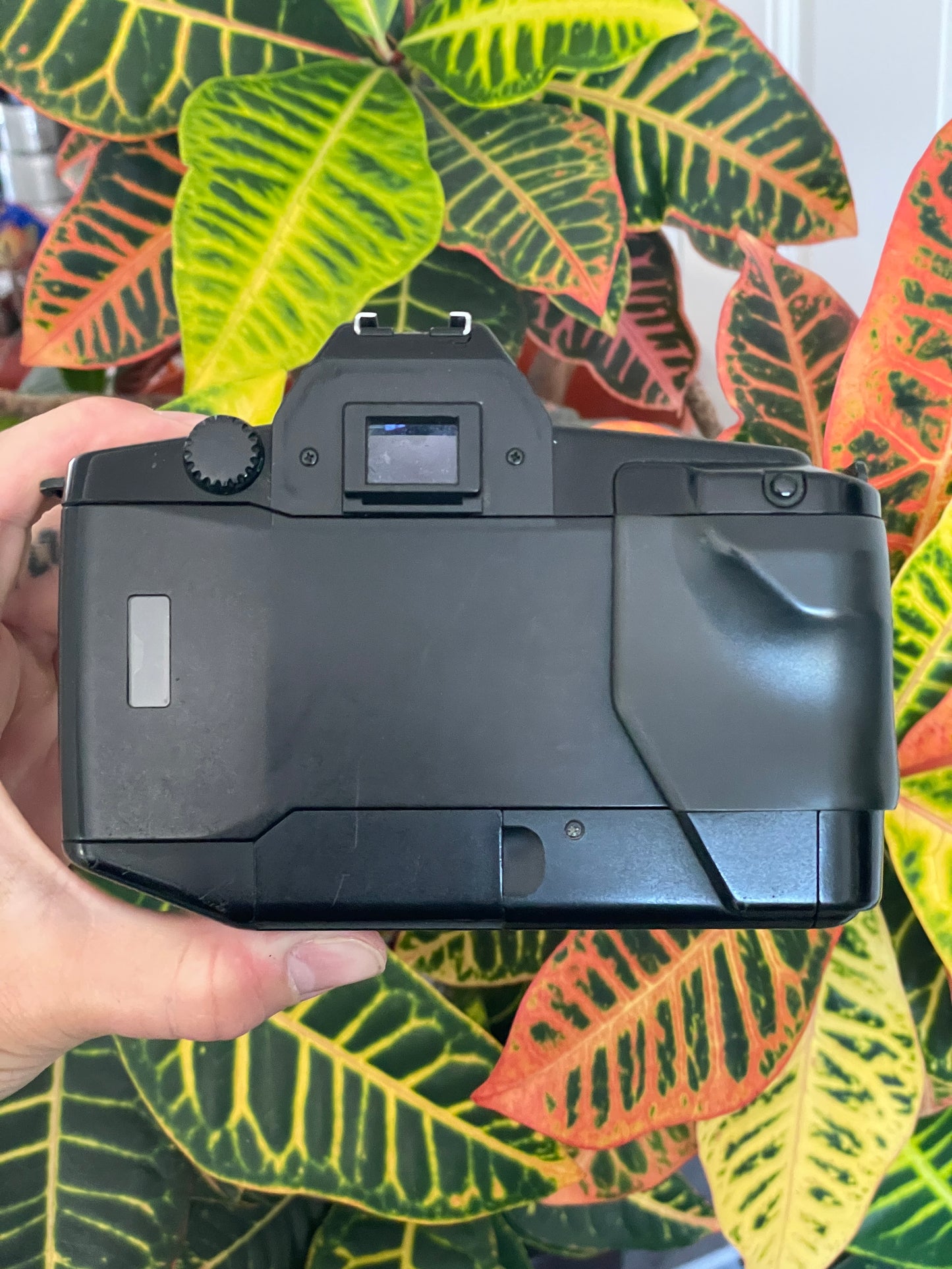 Canon EOS 650 35mm SLR Film Camera Bundle