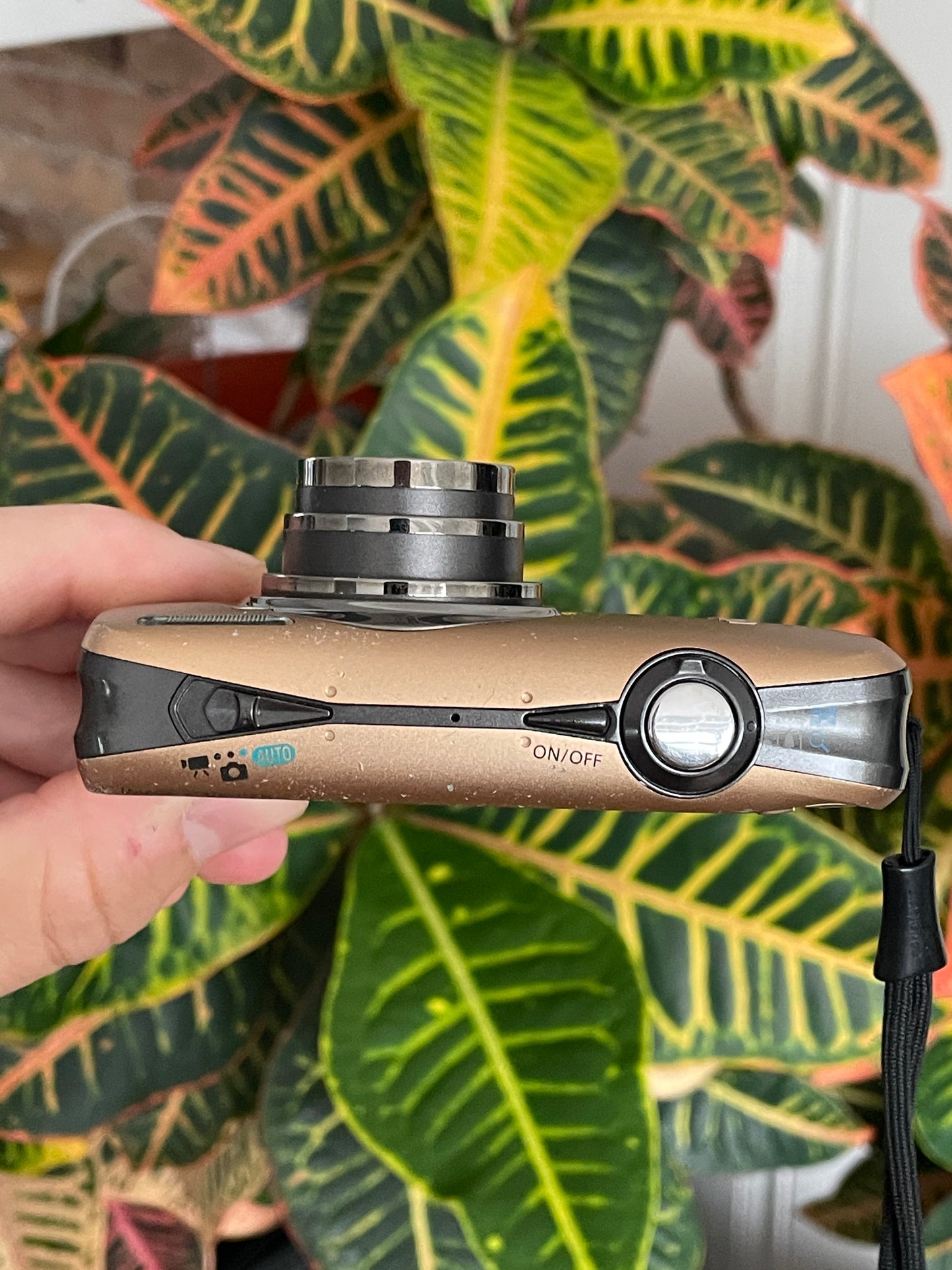 Canon PowerShot SD890 IS Digital ELPH 12.1 MP Camera Bundle - Bronze