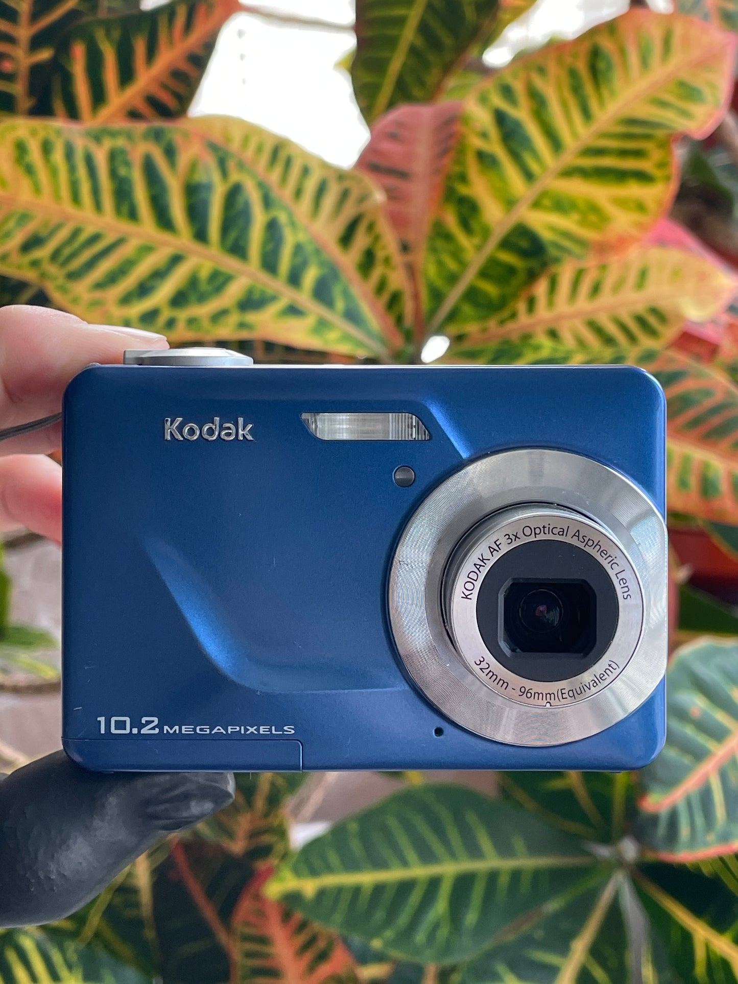 Kodak EasyShare C180 10.2 MP Digital Camera Bundle - Blue