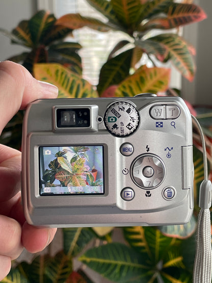 Nikon Coolpix E4100 4.0 MP Digital Camera Bundle - Silver