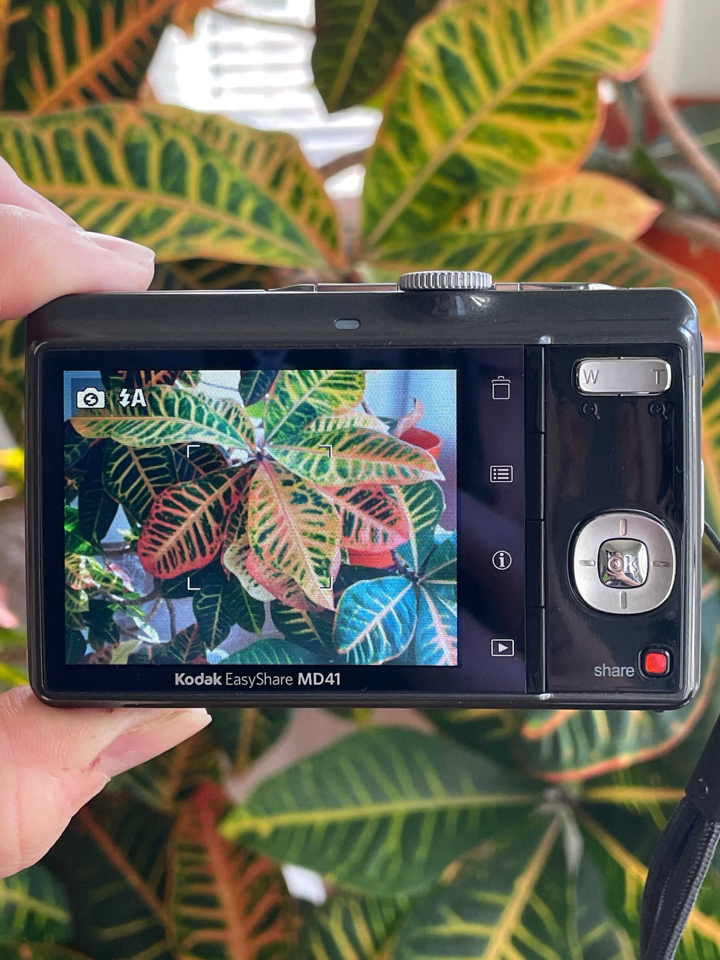 Kodak EasyShare MD41 12.2 MP Digital Camera Bundle - Sparkly Gray