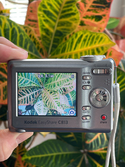 Kodak EasyShare C813 8.2 MP Digital Camera Bundle - Grey