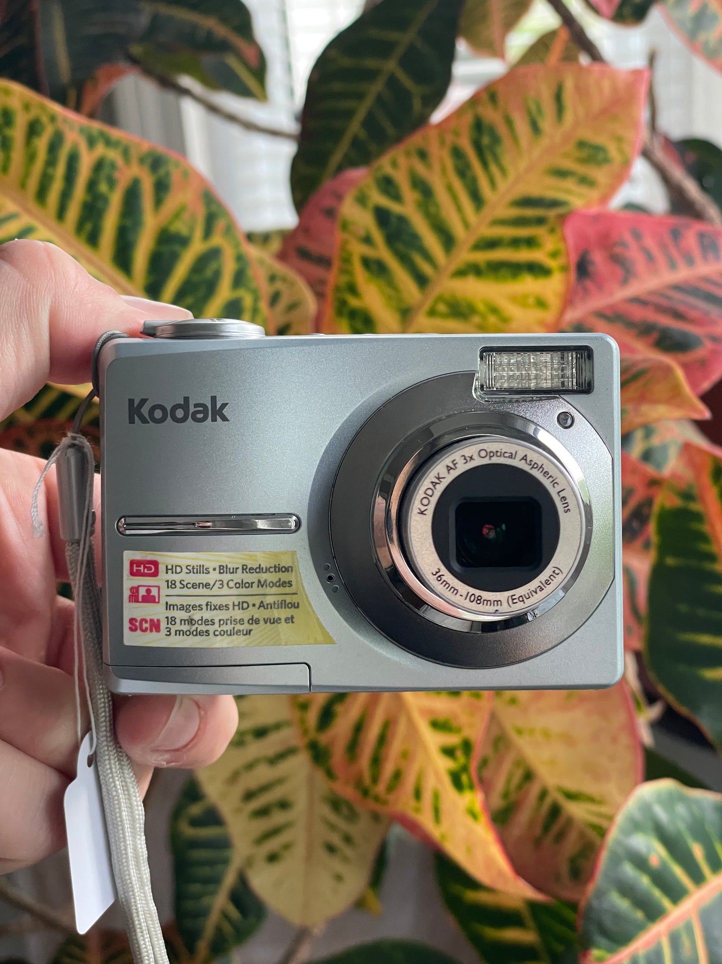 Kodak EasyShare C913 9.2 MP Digital Camera Bundle - Gray