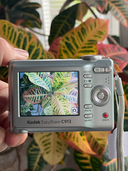 Kodak EasyShare C913 9.2 MP Digital Camera Bundle - Gray