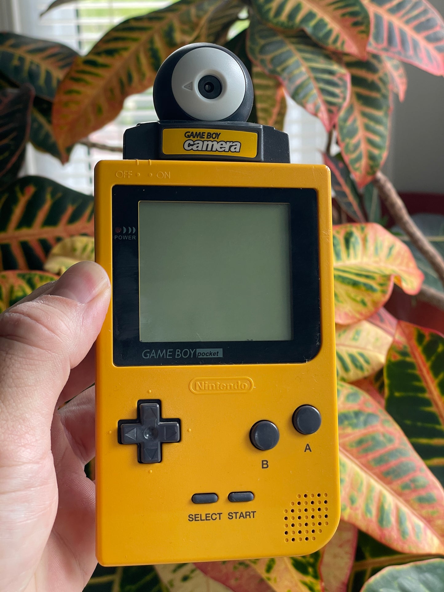 GameBoy Pocket - Yellow w/ Yellow Camera