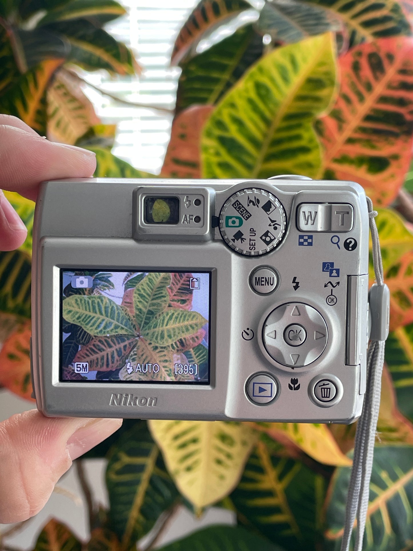 Nikon CoolPix 5600 5 MP Digital Camera Bundle - Silver