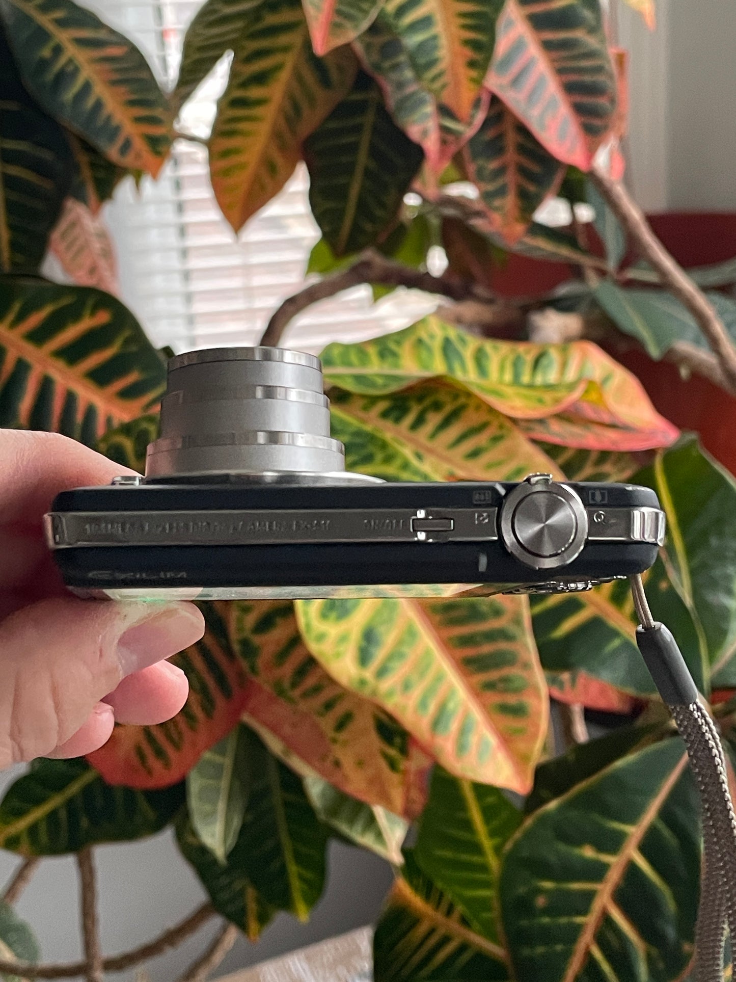 Casio Exilim EX-S10 10.1 MP Digital Camera Bundle - Black