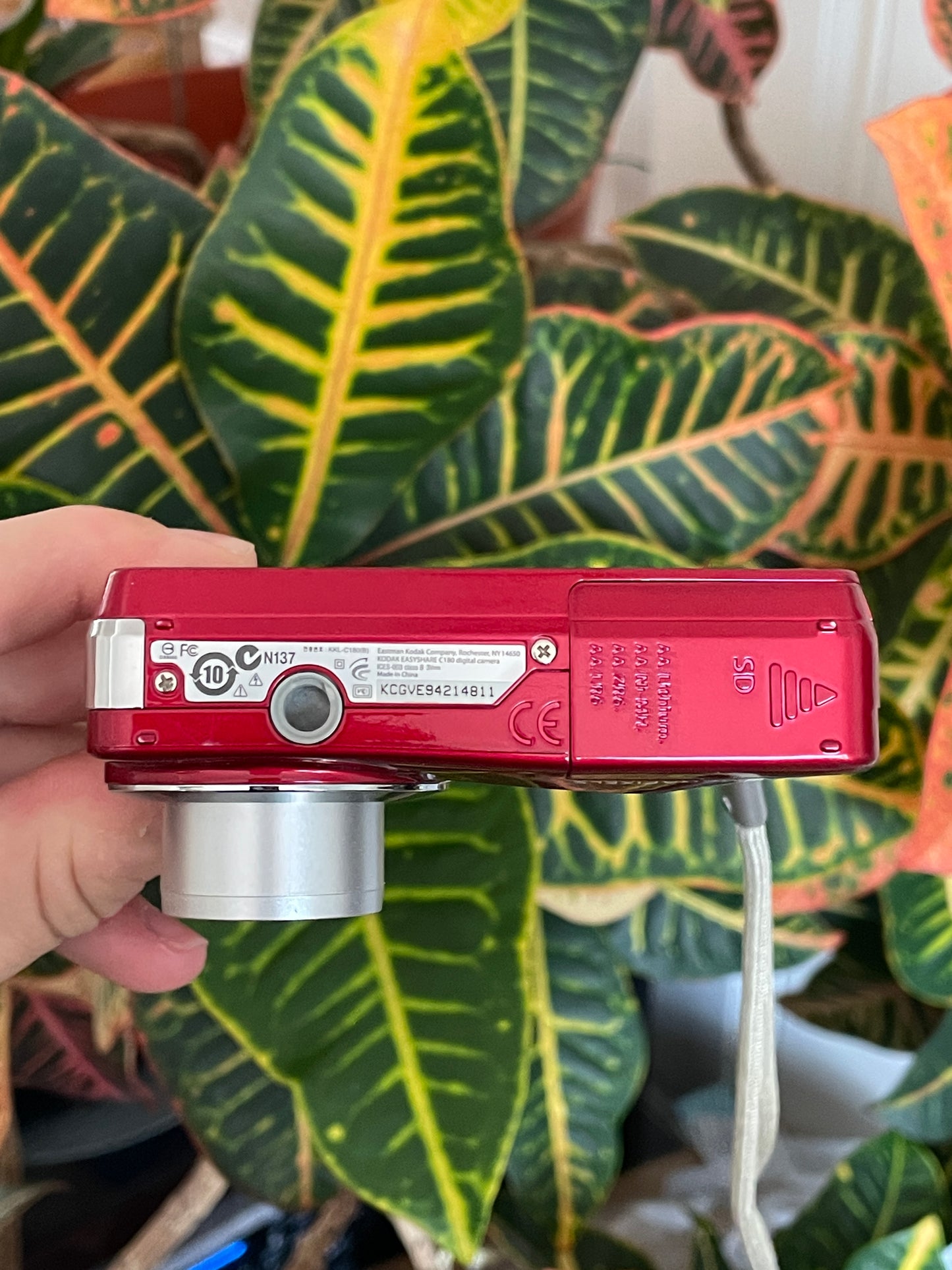 Kodak EasyShare C180 10.2 MP Digital Camera Bundle - Red