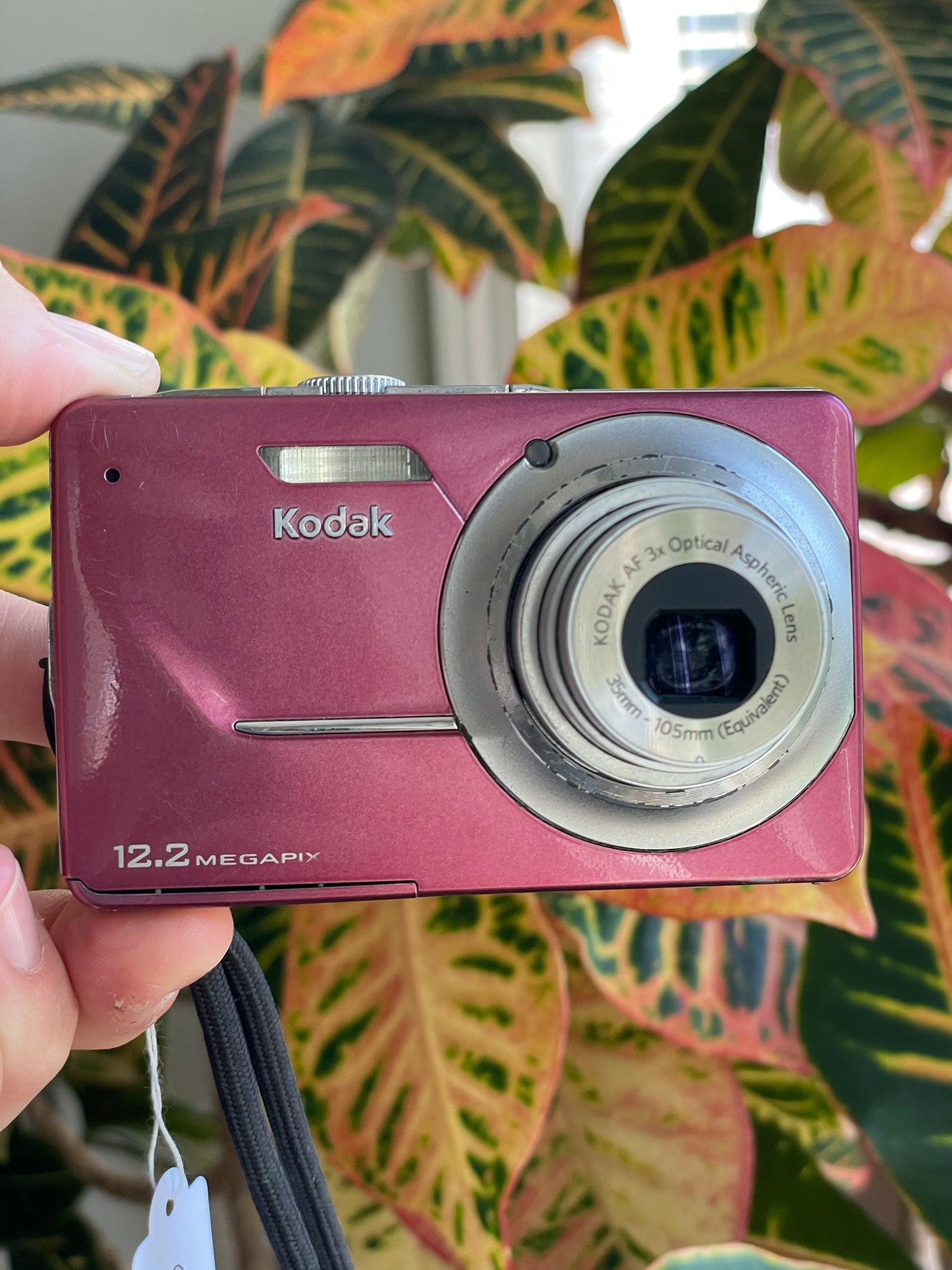 Kodak EasyShare M341 12.2 MP Digital Camera Bundle - Rose