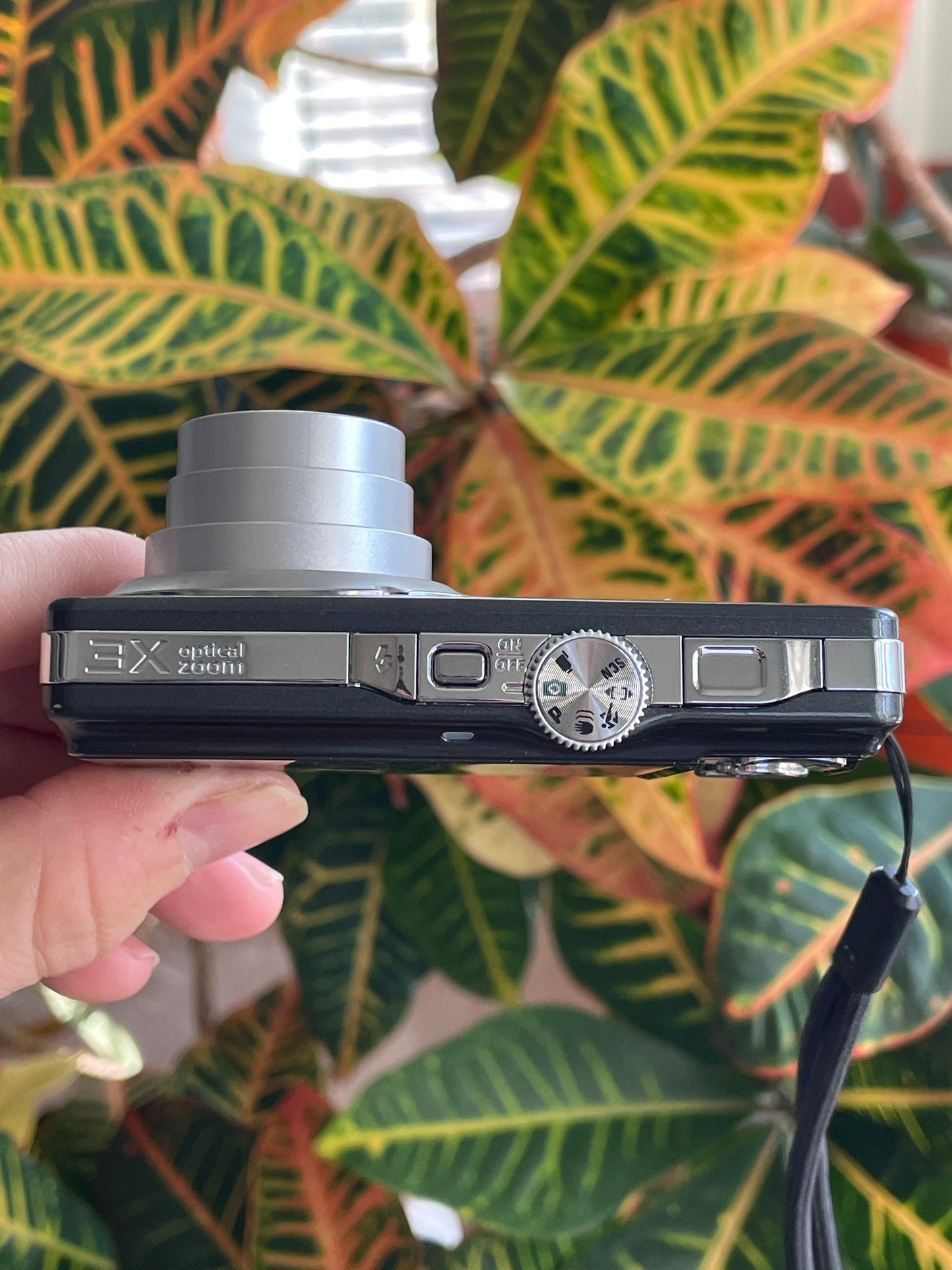 Kodak EasyShare MD41 12.2 MP Digital Camera Bundle - Sparkly Gray