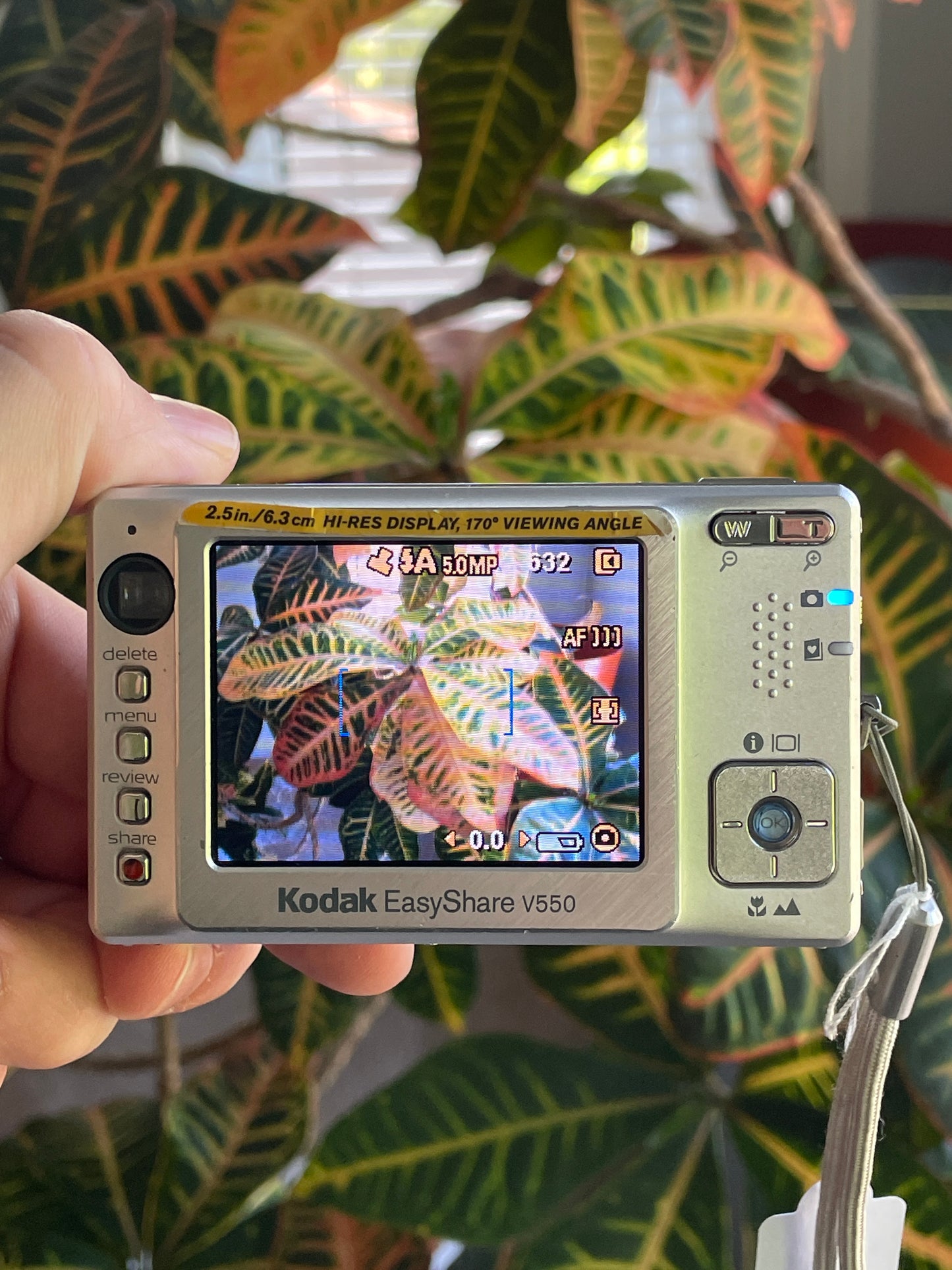 Kodak EasyShare V550 5 MP Digital Camera Bundle - Silver