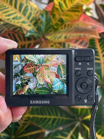Samsung ST30 10.1 MP Digital Camera Bundle - Silver