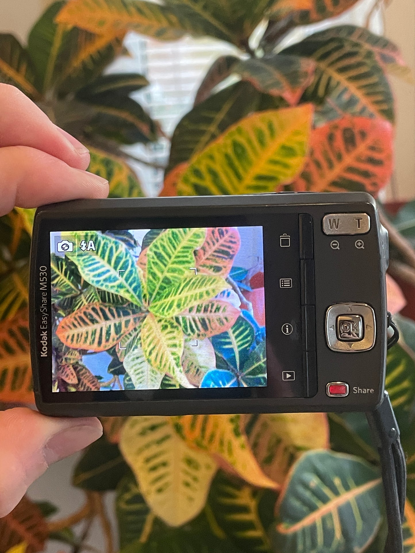 Kodak EasyShare M530 12 MP Digital Camera Bundle - Red