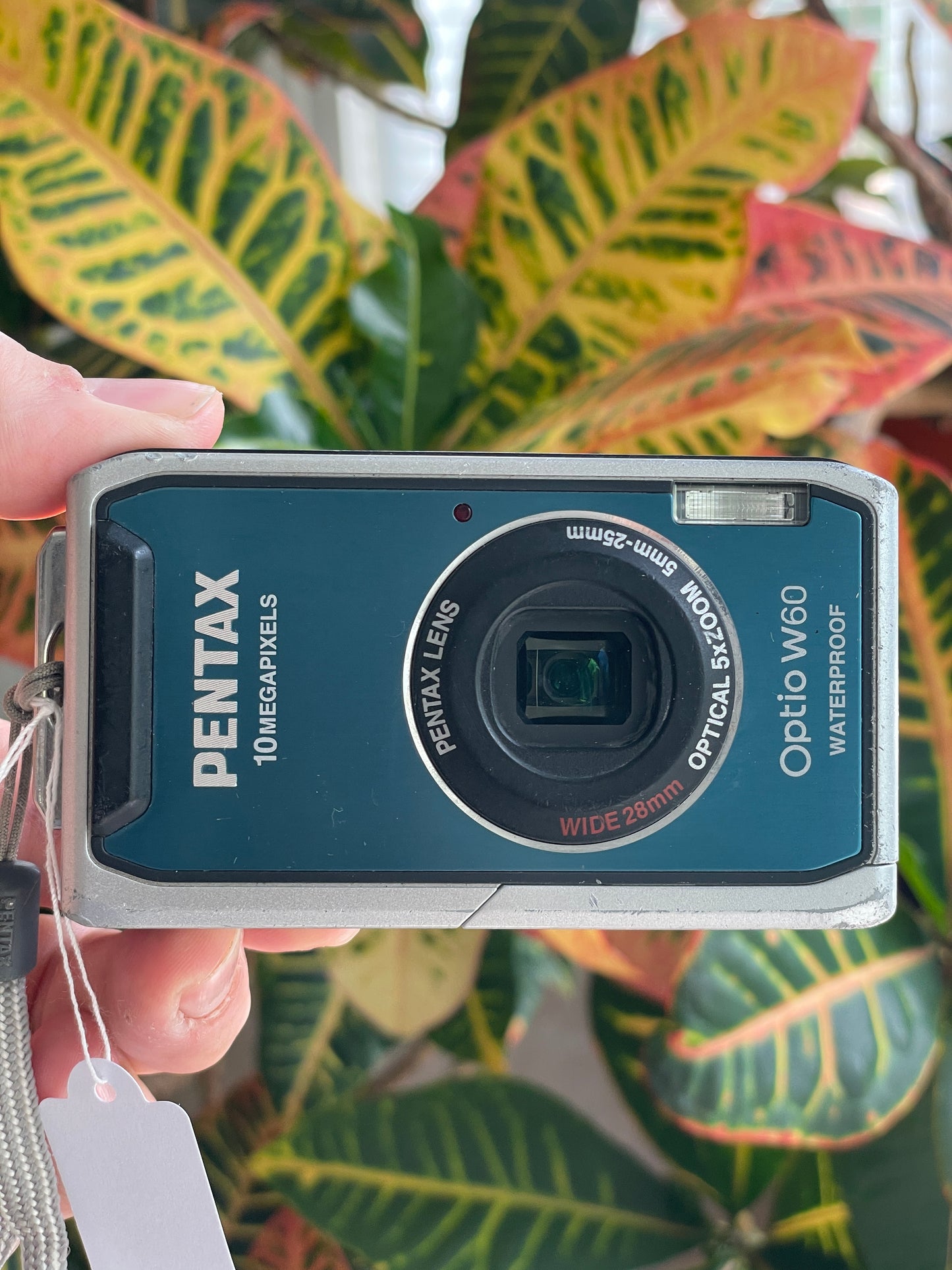 Pentax Optio W60 10.0 MP Digital Camera Bundle - Blue