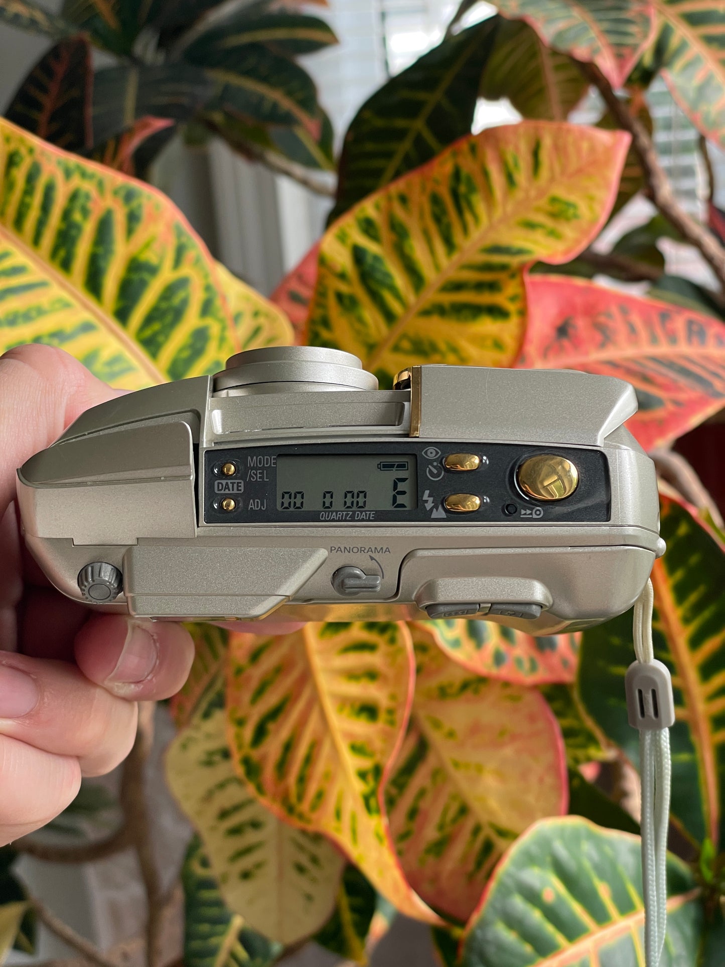 Nikon Lite-Touch Zoom 150 ED AF Quartz Date 35mm Film Camera Bundle - Gold Trim
