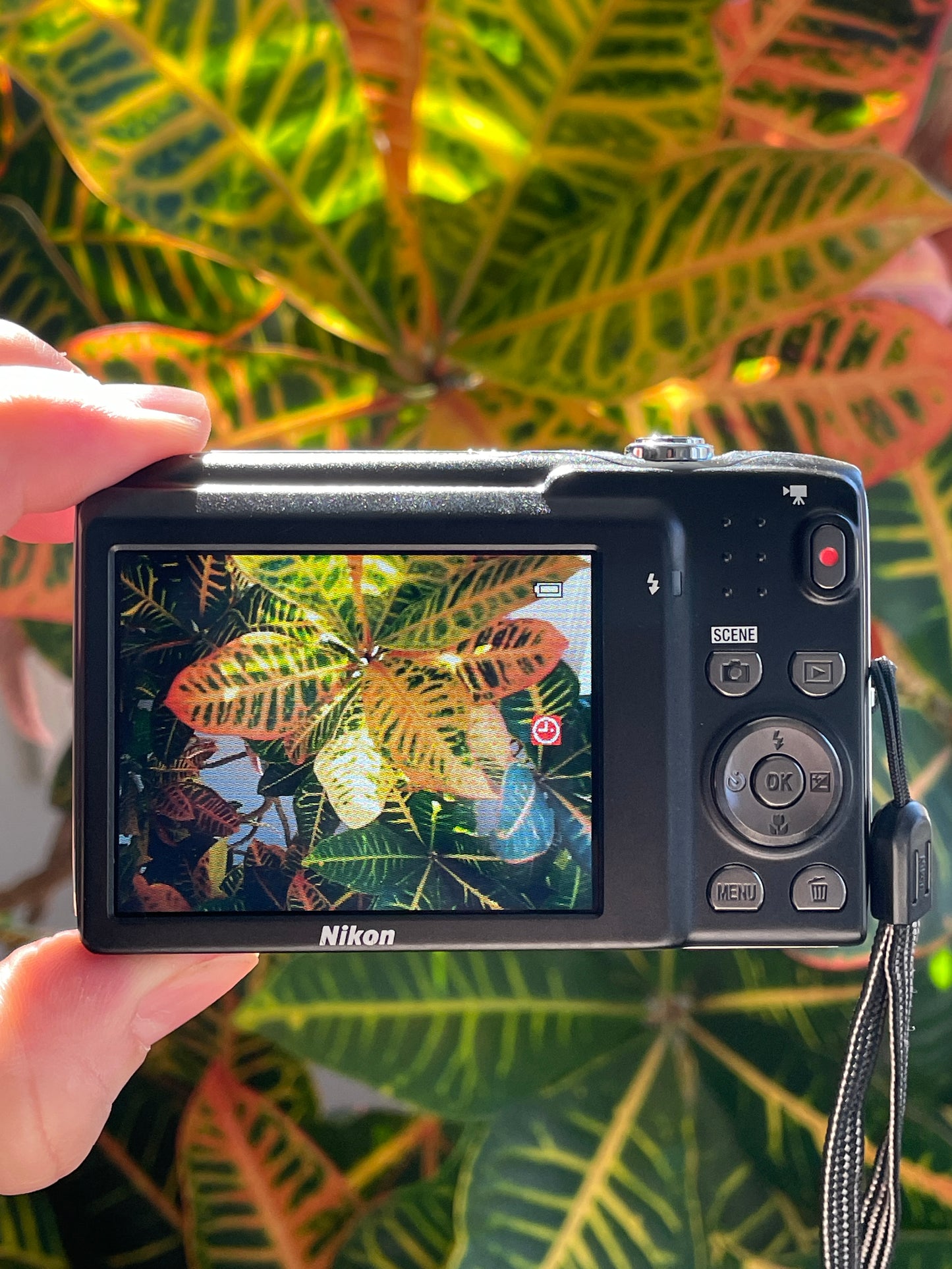 Nikon CoolPix S3100 14 MP Digital Camera Bundle