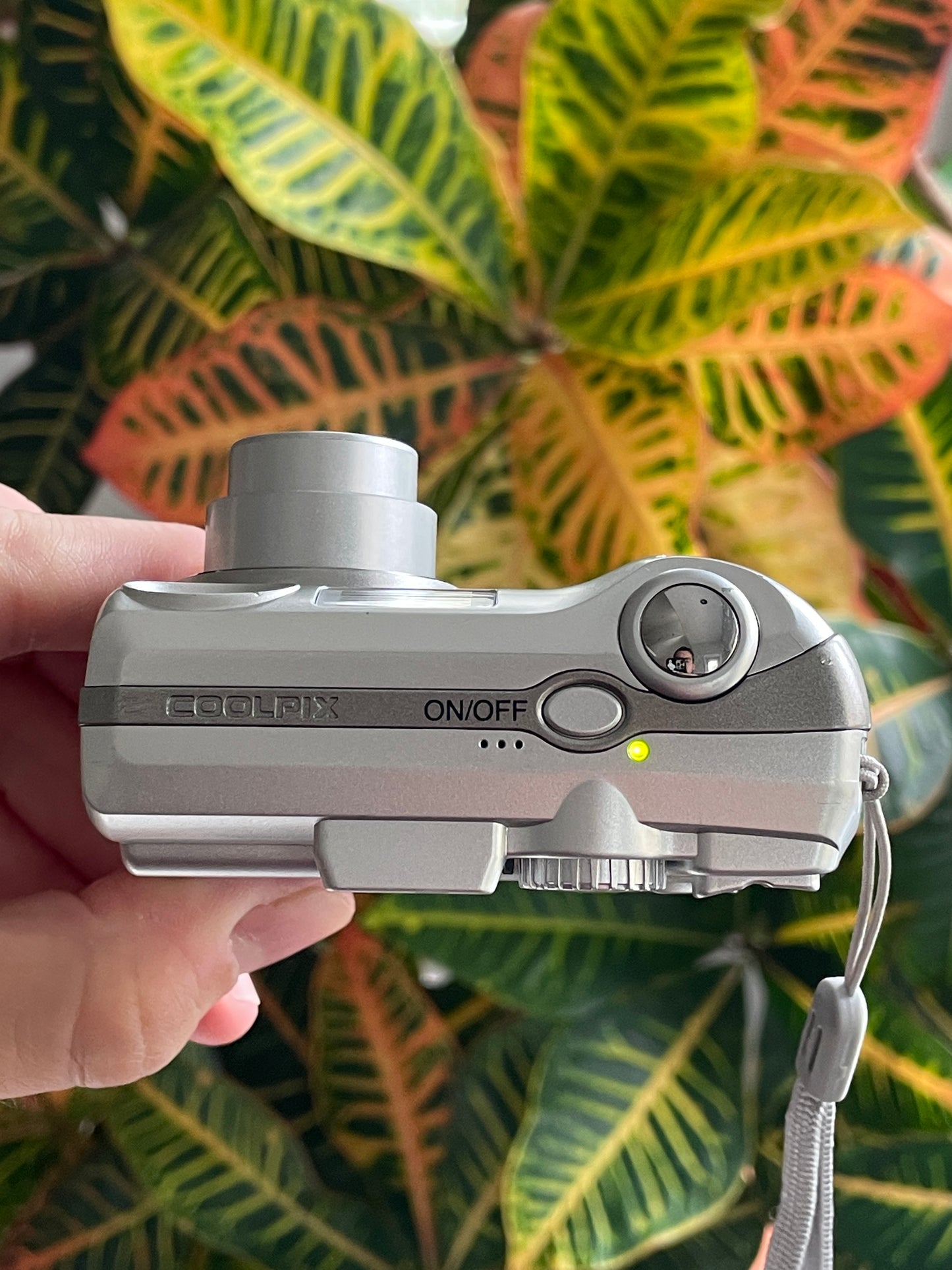 Nikon CoolPix 5600 5.1 MP Digital Camera Bundle - Silver